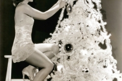 Bop-PIlls_Xmas PinUp (4)