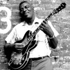 The HoWLiN' WoLF SToRy ... et celle de KiLLiNG FLooR